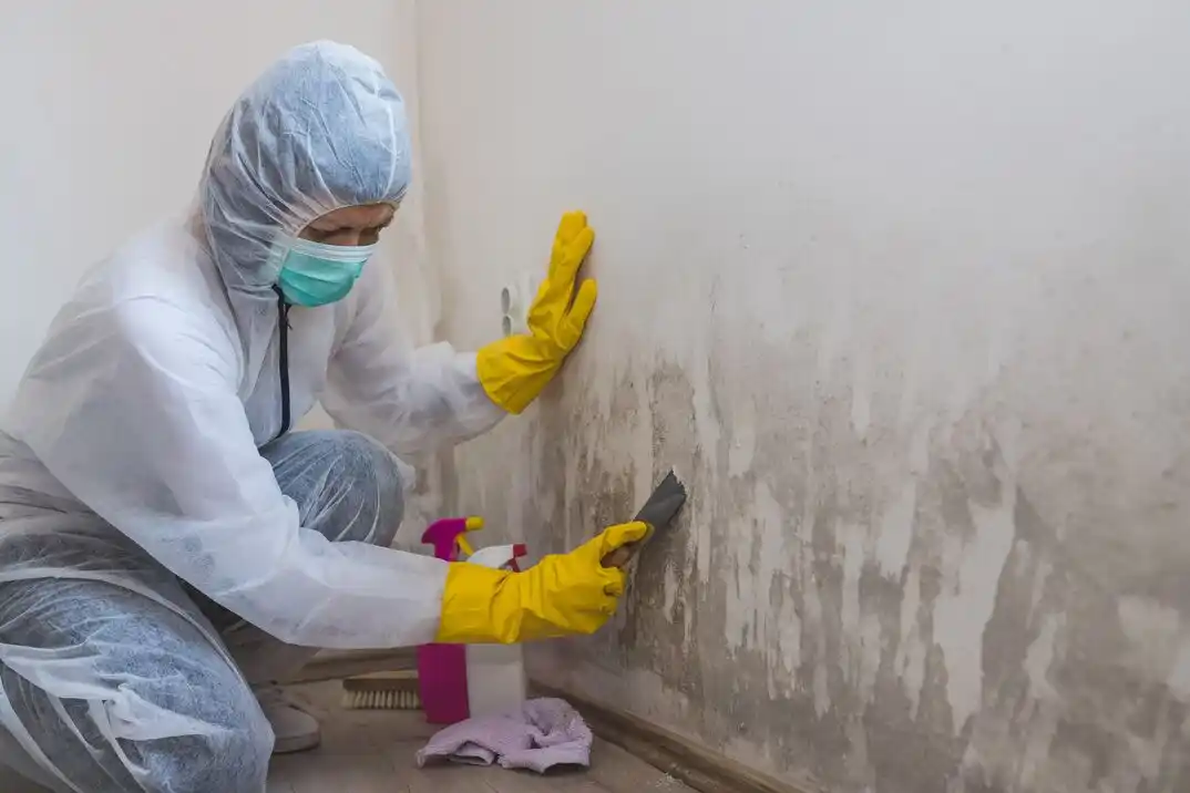 water damage restoration service Lochmere